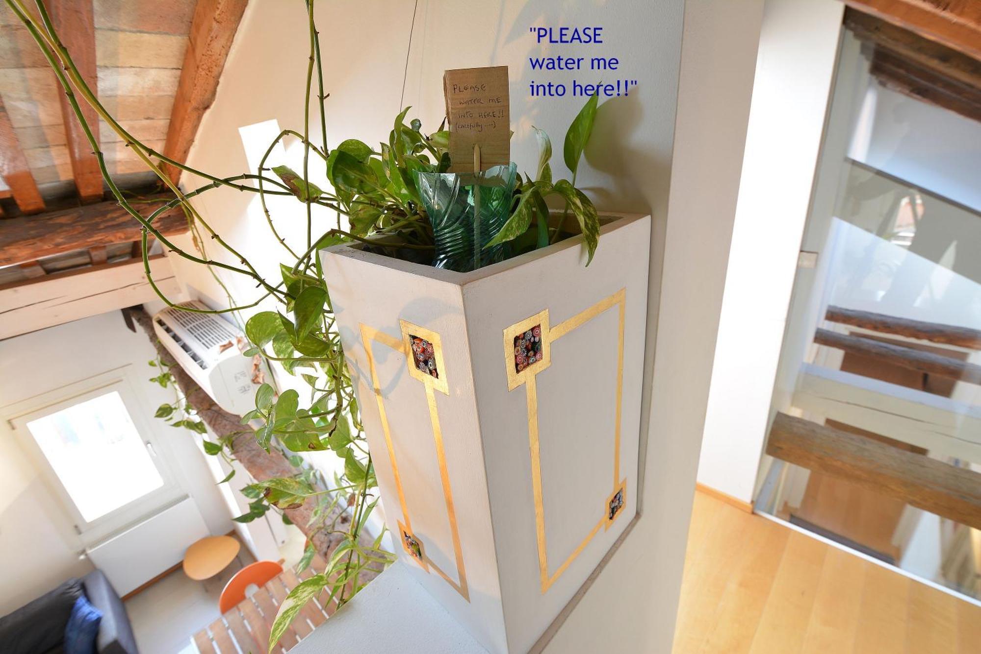 Dandolo-Terrace Apartment Venice Ngoại thất bức ảnh